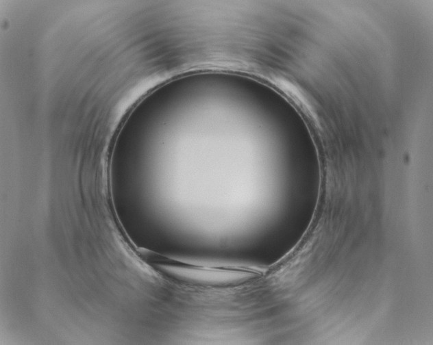 X0000088461238200706121456