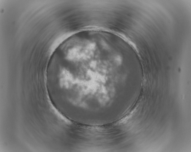 X0000088461239200706121456