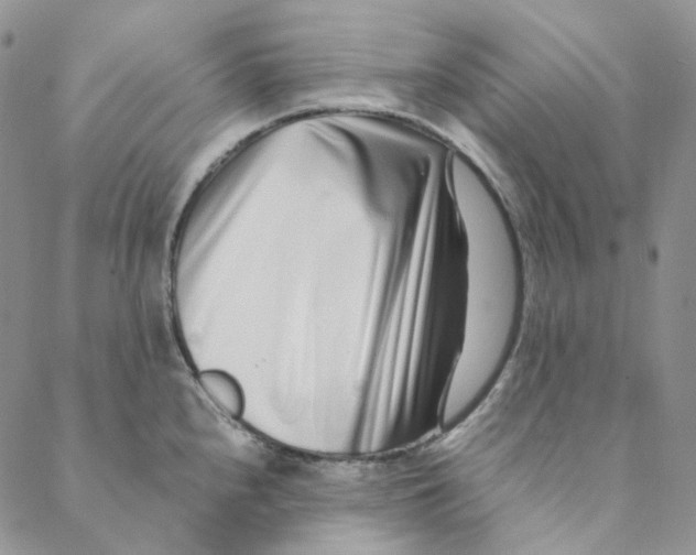 X0000088461240200706121456