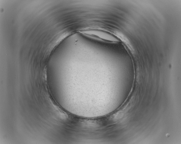 X0000088461241200706121456