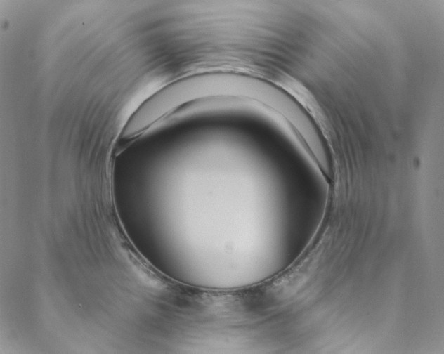 X0000088461242200706121456