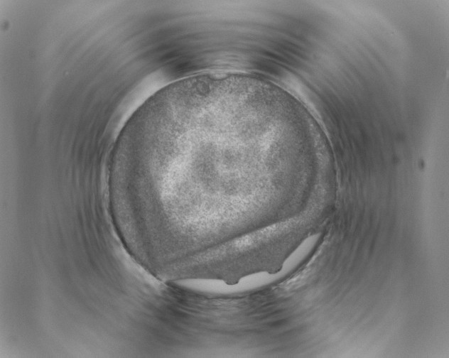 X0000088461243200706121456