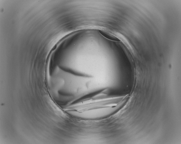 X0000088461244200706121456