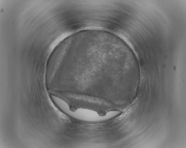 X0000088461245200706121456