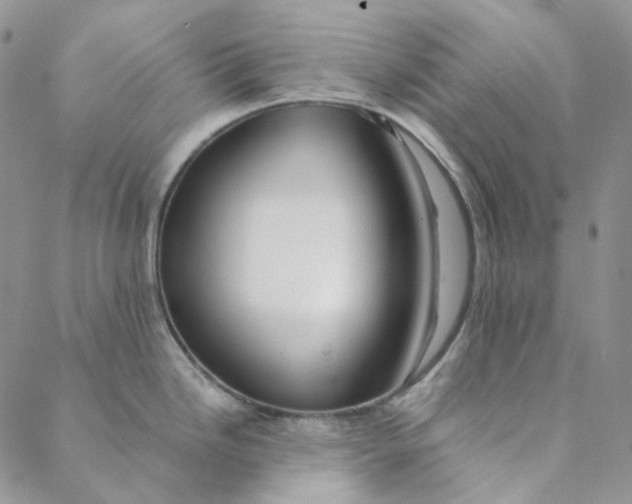 X0000088461246200706121456