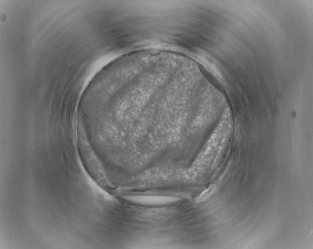 X0000088461247200706121456