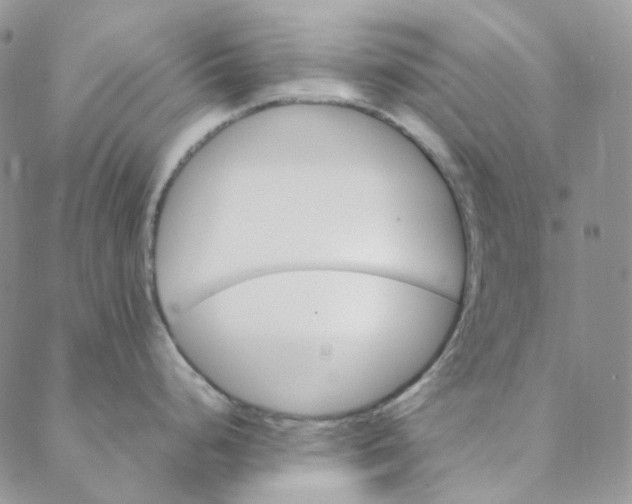 X0000088461248200706121456