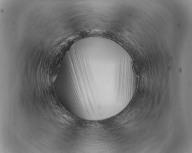 X0000088461250200706121455