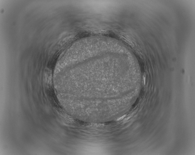 X0000088461251200706121455