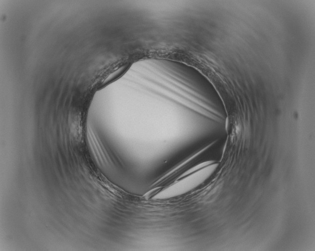 X0000088461252200706121455