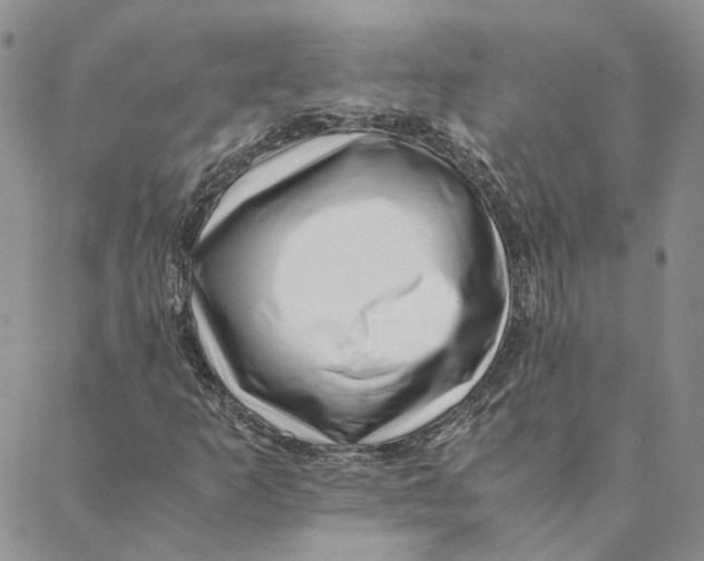 X0000088461253200706121455