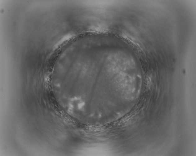 X0000088461254200706121455