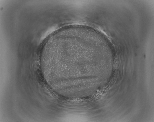 X0000088461255200706121455