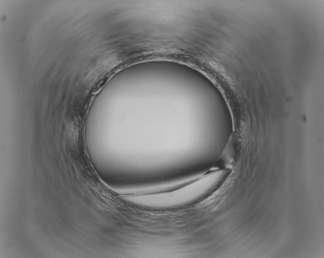 X0000088461257200706121455