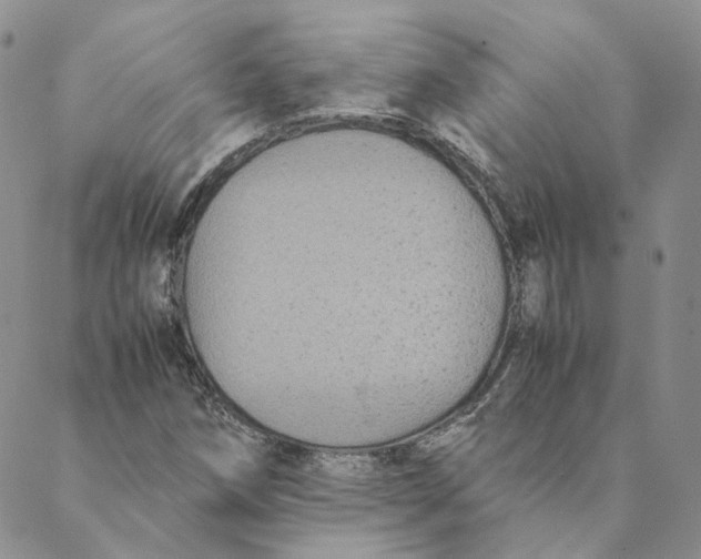 X0000088461258200706121455