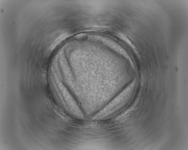 X0000088461259200706121455