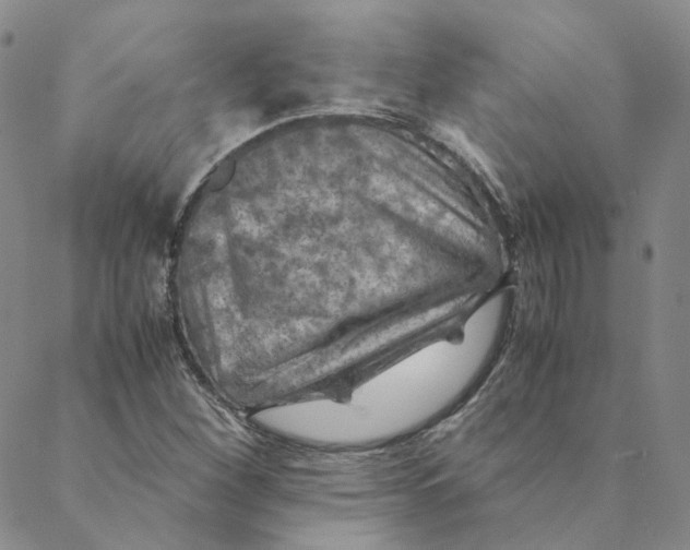 X0000088461260200706121455