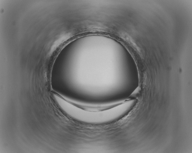 X0000088461261200706121455