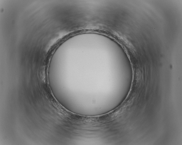 X0000088461262200706121455