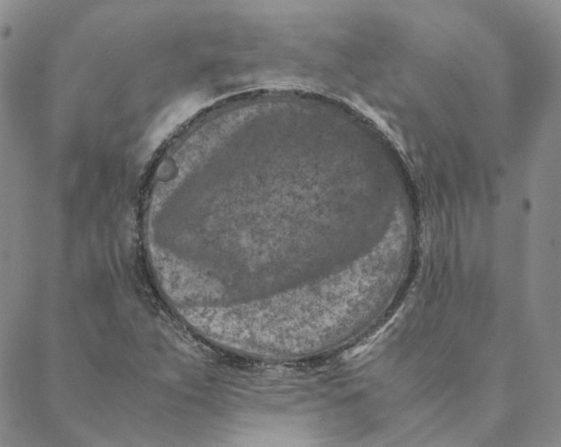 X0000088461263200706121455