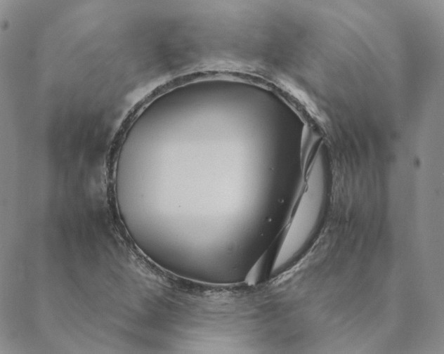 X0000088461264200706121455