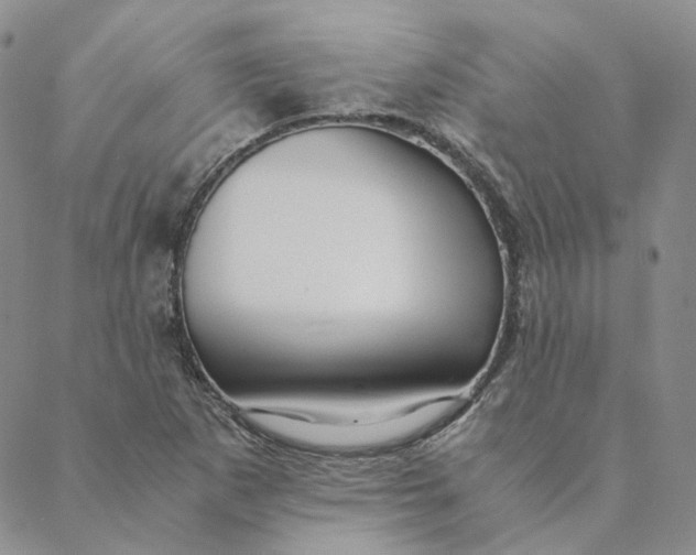 X0000088461265200706121455