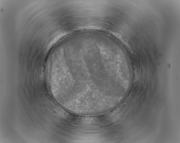 X0000088461266200706121455