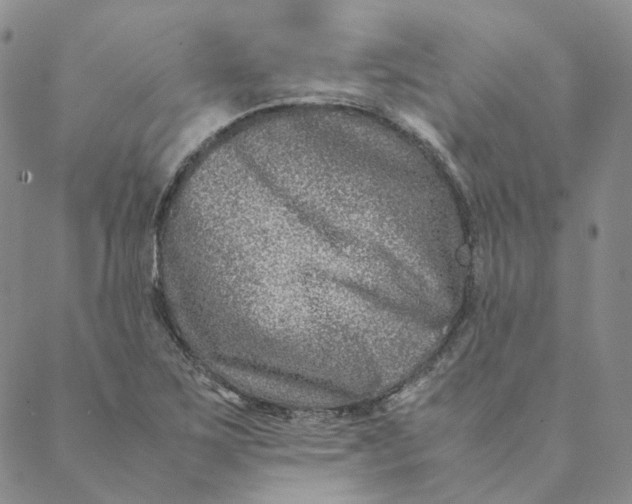 X0000088461267200706121455