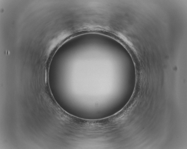 X0000088461269200706121455