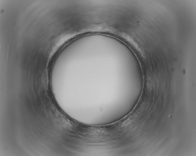 X0000088461270200706121455