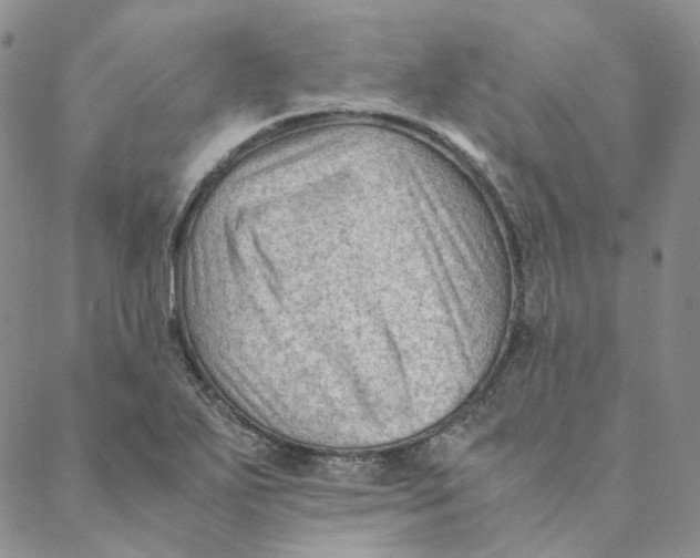 X0000088461271200706121455