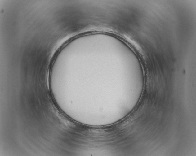 X0000088461272200706121455