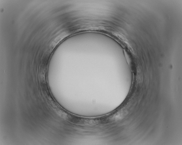 X0000088461273200706121455