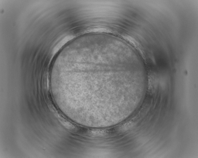 X0000088461274200706121455