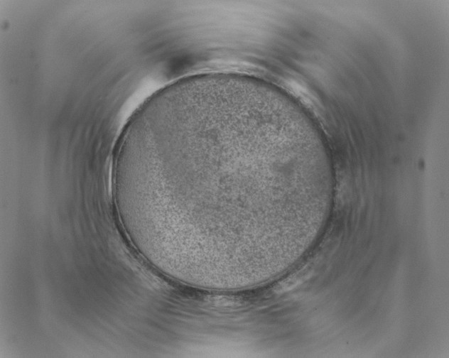 X0000088461275200706121455