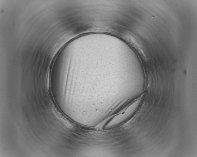 X0000088461276200706121455