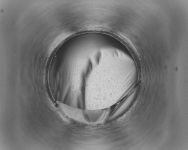 X0000088461277200706121455