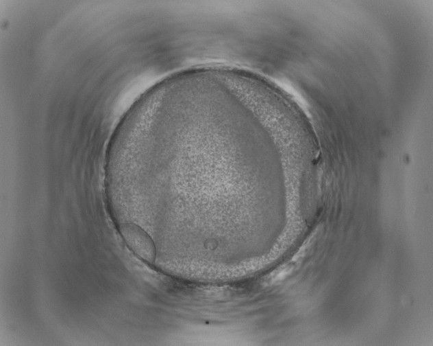 X0000088461279200706121455