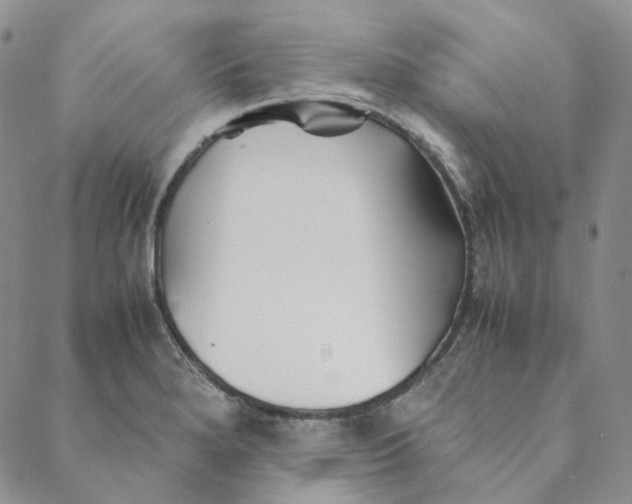 X0000088461280200706121455