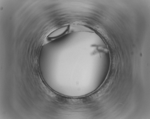 X0000088461281200706121455