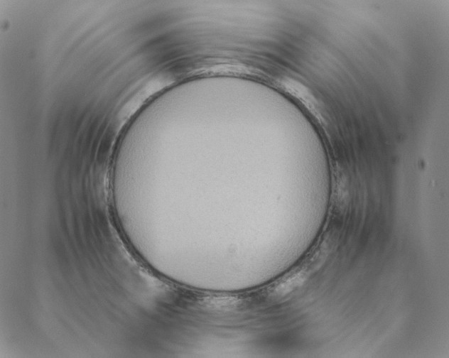 X0000088461282200706121455