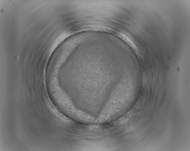 X0000088461283200706121455