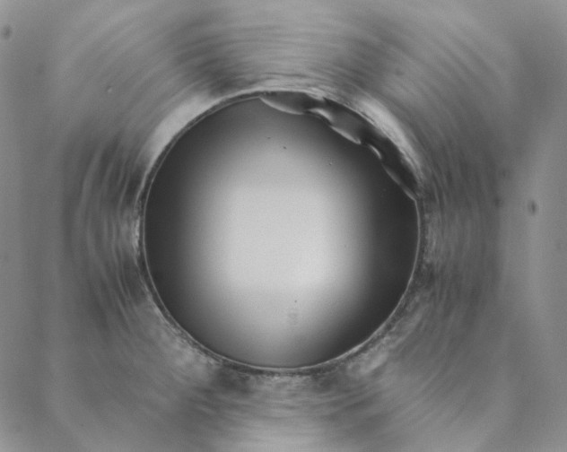 X0000088461284200706121455