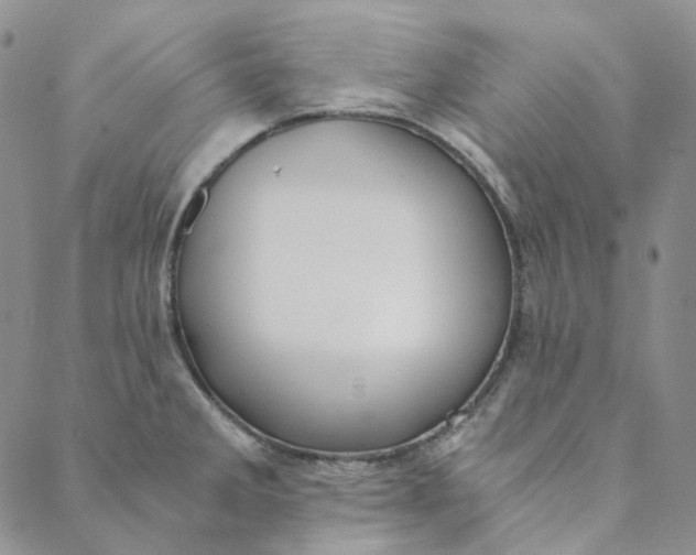 X0000088461285200706121455