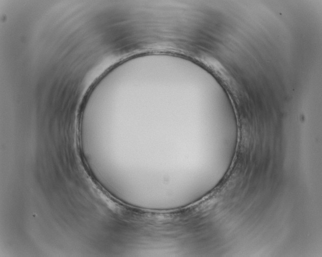 X0000088461286200706121455