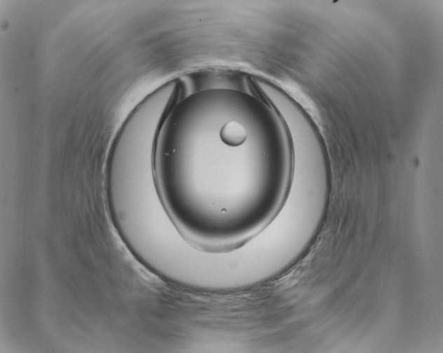 X0000088461287200706121455