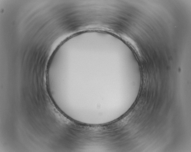 X0000088461288200706121455