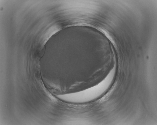 X0000088461289200706121455