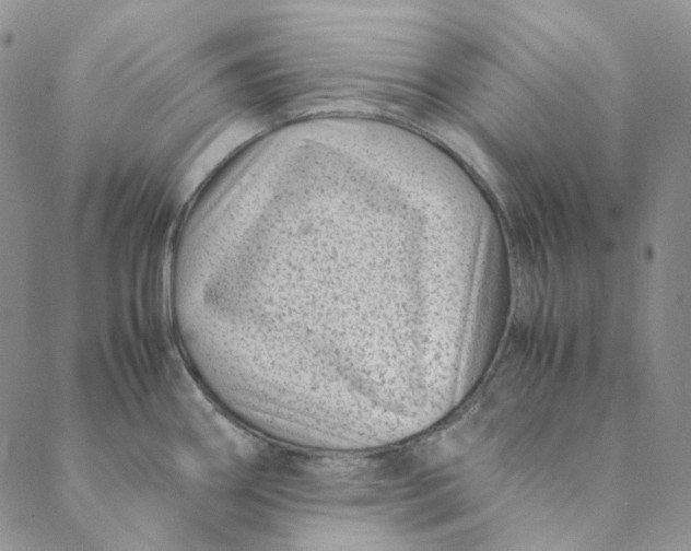 X0000088461290200706121455