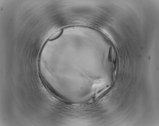 X0000088461291200706121455